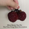 Chinese Tea Pet, Resin lychee Color-changing Tea Pet (2 Lychees+1