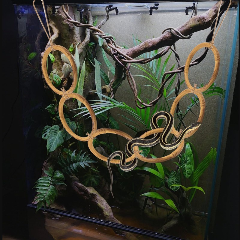 Snake Enrichment Rings for Ball Python, Plastic Imitation Wood Playground