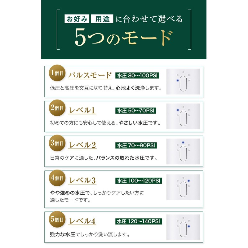 【Dentist, Hygienist, and Doctor Supervised】Oral Irrigator Jet Washer IPX7 Waterproof【Japanese