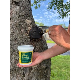 Treekote Tree Wound Dressing - 16oz Tub - Grafting, Pruning, and Wound Care for Damaged Trees - Pruning Sealer, Grafting Compound - for Effective Tree Wound Repair