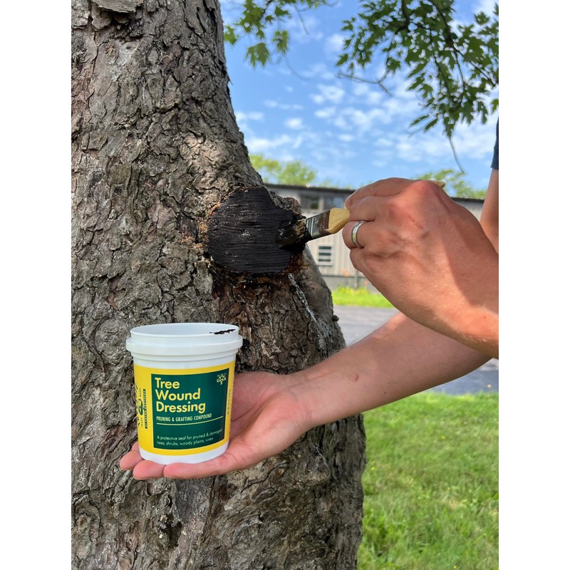 Treekote Tree Wound Dressing - 16oz Tub - Grafting, Pruning,