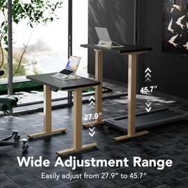 HUANUO 32 x 19 inch Electric Standing Desk Adjustable Height, 4 Memory Height Settings, Sit Stand Up Desk for Home Office & Computer Workstation, Black and Gold Frame