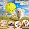 Moonorange Large Dog Vocal Balls, Interactive Squeaky Dogs Balls, Tough