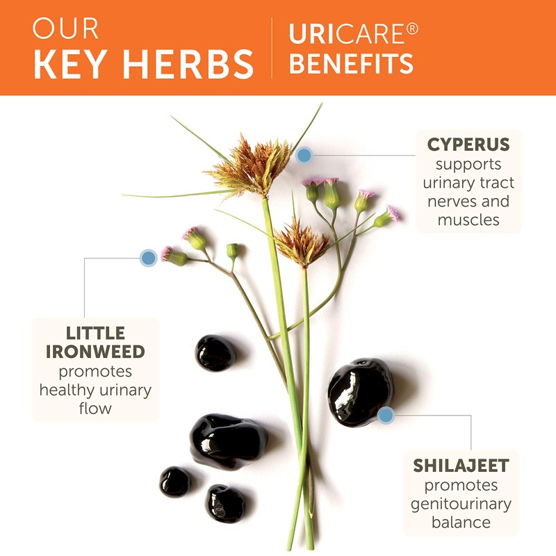 Himalaya UriCare – Herbal Kidney & Bladder Support with Shilajeet,