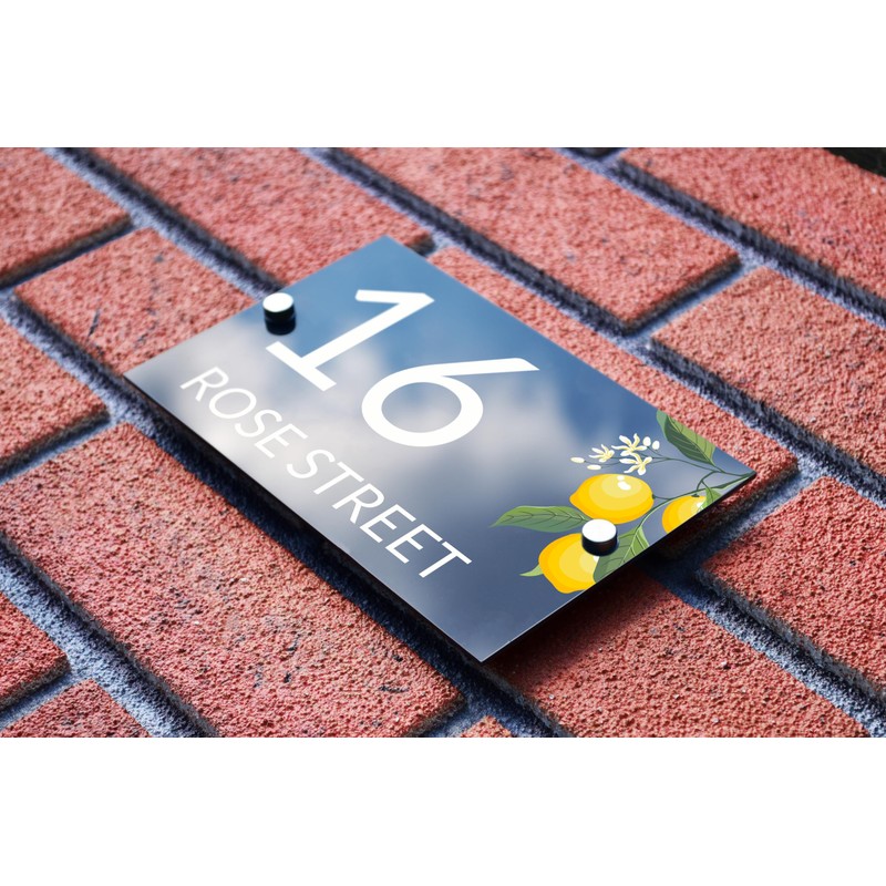 Badgemaster Modern Anthracite House Number Sign Plaque Stainless Steel Standoffs