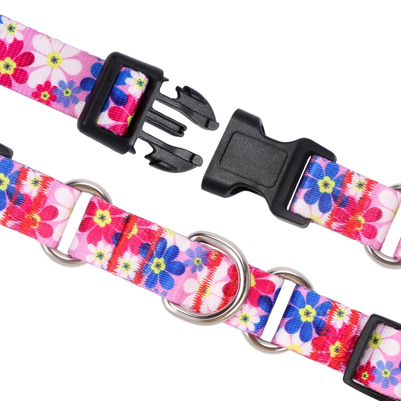 Rhea Rose Dog Martingale Collar with Quick Release Buckle, Adjustable