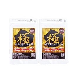 屋久島ウコン極（300粒）2袋セット 無農薬・無化学肥料 [M便 1/1]