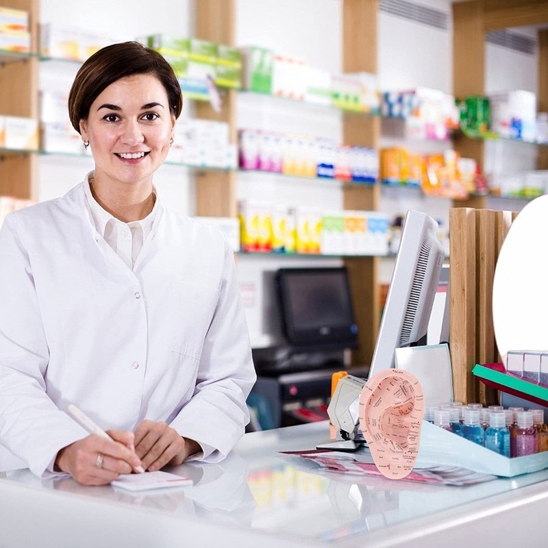 Human Ear Model Ear Acupuncture Anatomical Model Reflexology Acupoint Learning