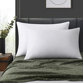 100% Cotton Zippered Pillow Cases Queen Size Set of 2, Super Soft & Breathable Pillow Protectors with Zipper, White Pillow Case Covers 20x30 Inches