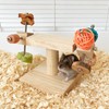 Ornaous Natural Wood Spinning Feeding Toys for Dwarf Hamsters Guinea