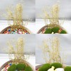 Cayway Static Grass Tuft Miniature Shrubs Model Bushes Long Shrub