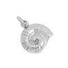 jewellerybox Sterling Silver Nautilus Sea Shell Charm