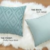 CJWLKJ 2Pcs Soft Faux Fur Throw Pillow Covers 18x18 -