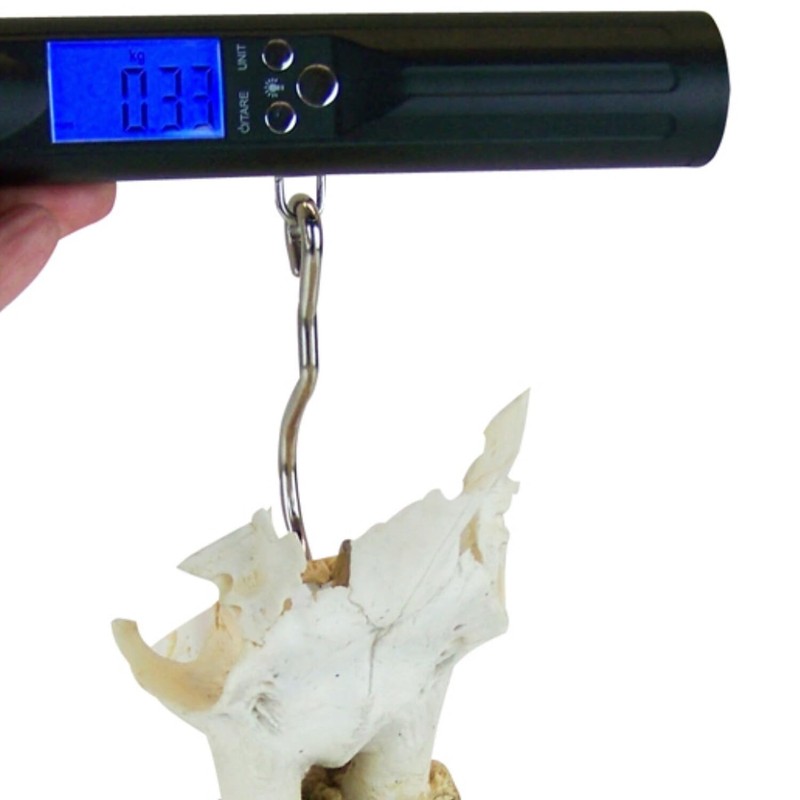 Berger & Schroeter digital 50 kg 31928 hand scale