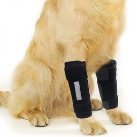INDEEMAX Front Leg Brace for Dogs & Cats, Dog Leg Brace with Metal Spring Inserts, Dog Leg Sleeve for Carpal Support, Dog Leg Sleeve with Reflective Straps, L/XL, 1 Pack