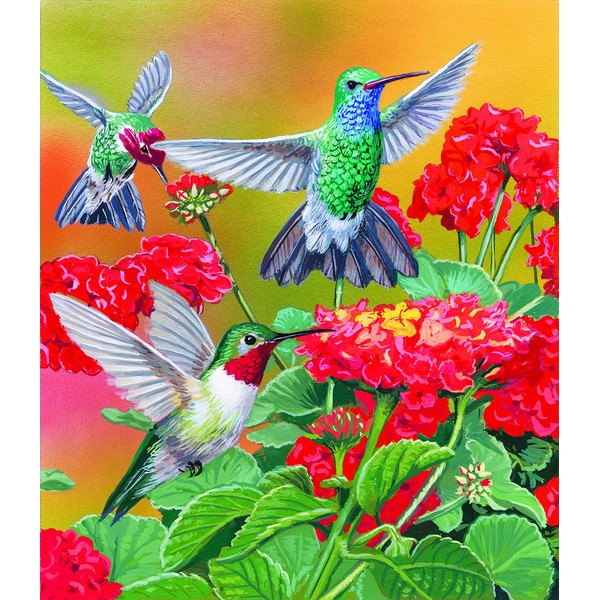 Hummingbirds and Flowers 550 pc Jigsaw Puzzle by SunsOut