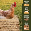MagJo MagJo Premium Aspen 12 Pack Excelsior Nesting Liners (12