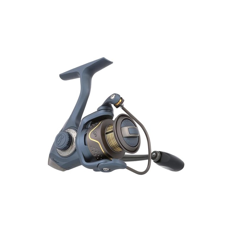 President Spinning Reel-Box- 25-10- 5.2:1