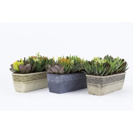 Classic Home and Garden 9410-514-CP3 Corinthian Trough Planter, 10", Desert - 3 Count