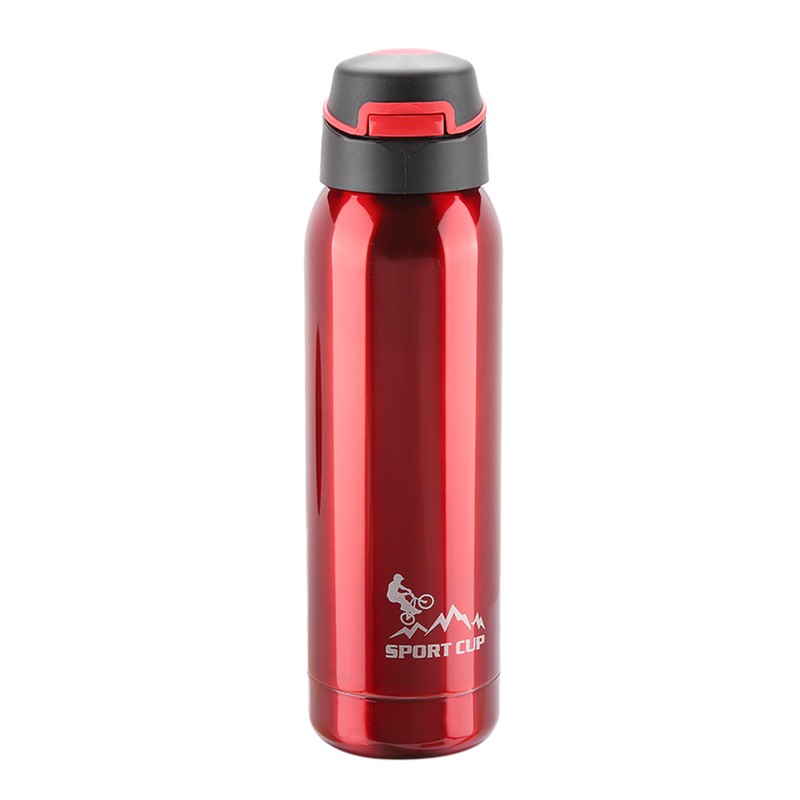 500ml Stainless Steel Bottle Vacuum Insulated Straw Cup Mug Sport
