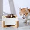 Plato para Perro y Gato de Cerámica Marmolizada con Base