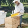 POLLIBEE 8 Frame Beehive kit, Complete Bee Hive for Beekeeper,