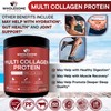 Wholesome Wellness Multi Collagen Protein Powder Hydrolyzed (Type I II