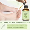 Wnmaicer Organic Tea Tree Oil 4 Fl Oz - 100%