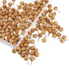 Wooden Push Pins Thumb Tacks Push Pins for Cork Board