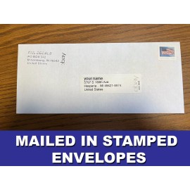 ANTI TRUMP Convicted Felon! Outdoor Safe Election Bumper Sticker