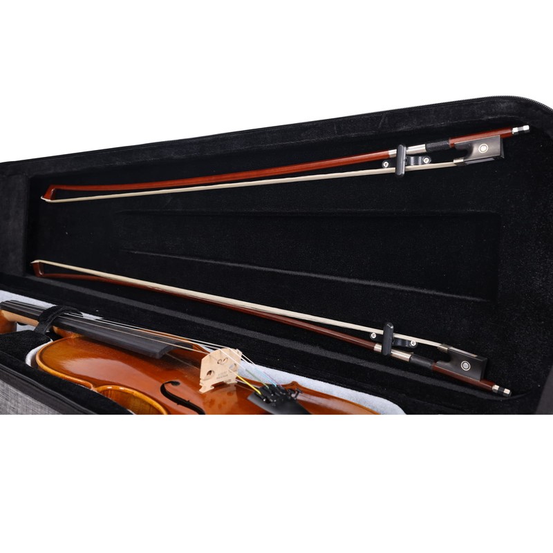 Aileen CSV502 Basic Professional 4/4 Full Size Violin Case Triangular
