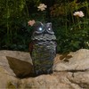 Owls to Keep Birds Away, Solar Owl Decoys to Scare