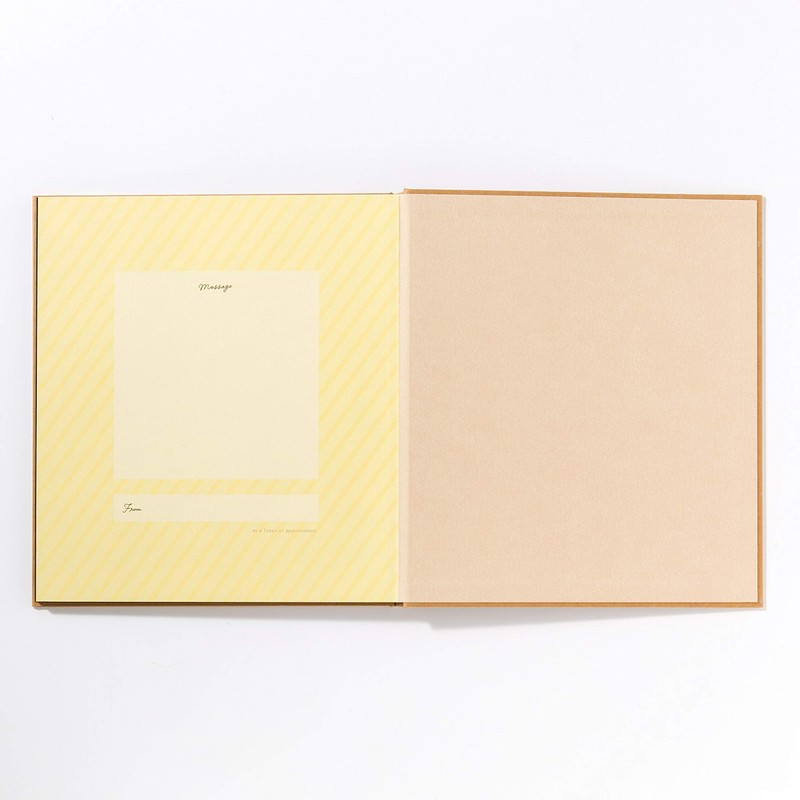 Takasho Gift WRAPPING ALBUM L Neon Yellow