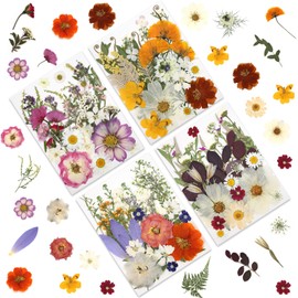 LUXEEASE 120P 4-Color Mixed Foliage Dried Flowers for Crafts, Real Natural Pressed Flowers for Resin Art, DIY Crafts, Jewelry & Candle Making – Tweezers Included