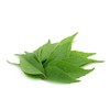 Iron from plant origin (Murraya Koenigii), pack 3 + 1