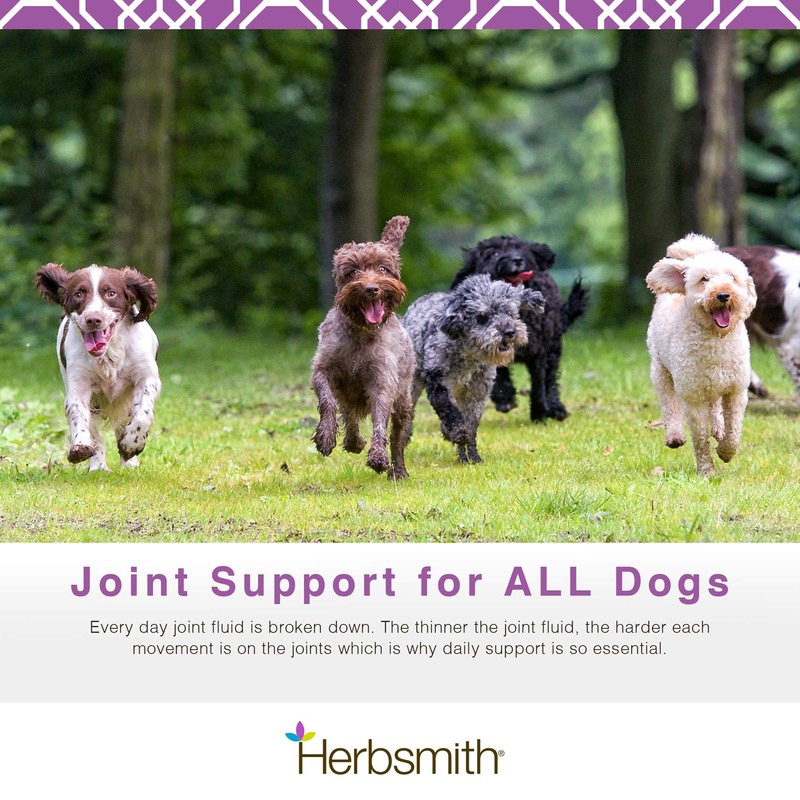 Herbsmith Sound Dog Viscosity Advanced Joint Support For Dogs, 60