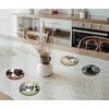 4 x Round Border Collie Coasters - Sheep Dogs Pets