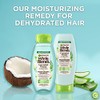 Garnier Whole Blends Refrescante agua de coco y extractos de