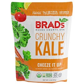Brad's Plant Based Organic Cheeze it Up Crunchy Kale 2 oz Bags - Pack of 4
