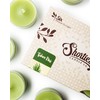 Tahoe Pine Tealight Candles Bulk Pack (24 Green Highly Scented