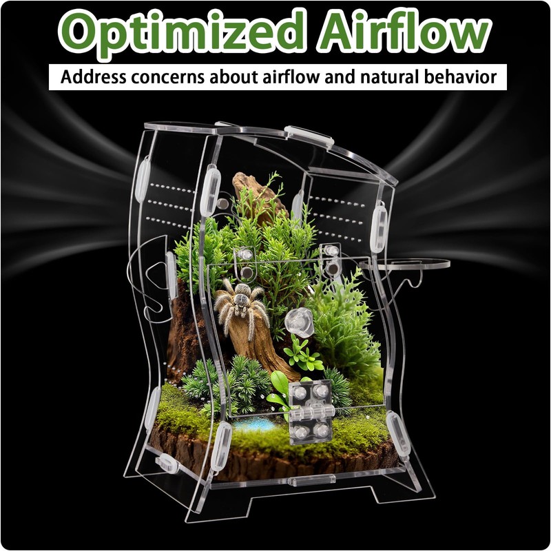 Acrylic Jumping Spider Enclosure Kit 5.9x3.5x9.4 Inches - Escape-Proof Arboreal