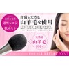 Hogundo Kumano Cheek Brush, Made in Japan, Handmade, Face Brush,