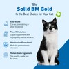 Pet Wellbeing Solid BM Gold for Cats - Supports Healthy