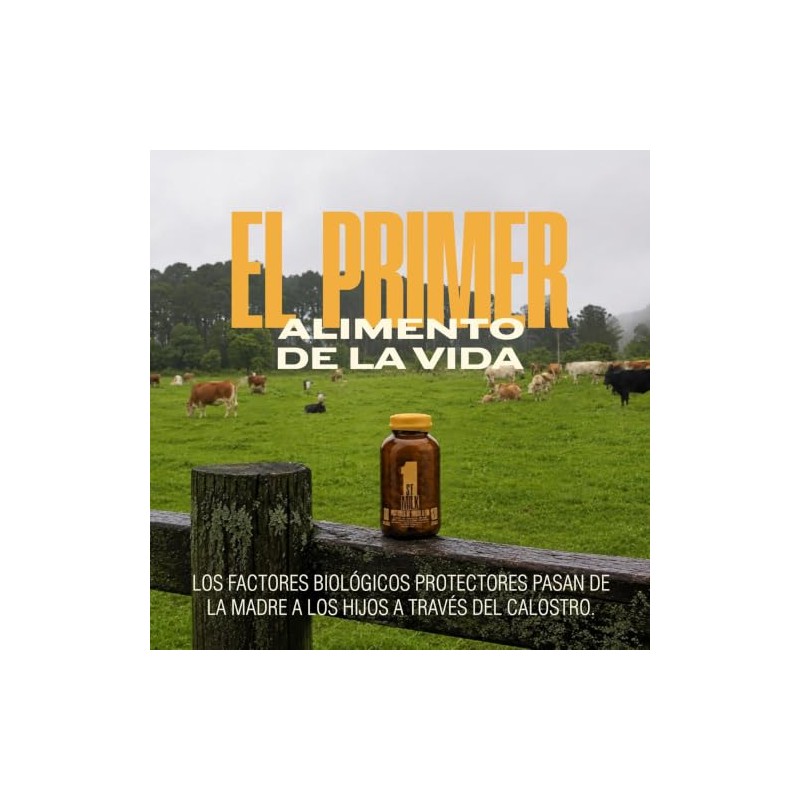 Calostro Bovino Libre Pastoreo 1st Milk Colostrum Inmunoglobulinas Yeke