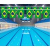 LUSEOAN 2 Packs Brazil Brazilian Mini Flag Banner String Small