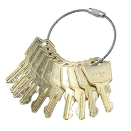 PLENTZOM 12PCS A126 Ignition Switches Key Compatible with Pride Mobility Scooter GoGo, Celebrity, Victory, Legend, Maxima, Revo, Linear Keypads AK-11 MDKP AKR-1