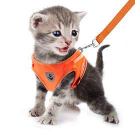 FEimaX Dog Harness and Leash Set, No Pull Soft Mesh Pet Harness for Walking Escape Proof Small Cat Step-in Adjustable Vest with Reflective Strip Fit Puppy Kitten Rabbit