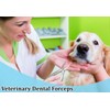 Tartar Remover Forceps Small Size 4½" Dental Veterinary Dog PET
