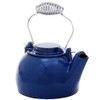 Blue Enameled Humidifying Kettle