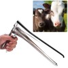 Speculum Original Medium Speculum Reusable Stainless Steel Instruments